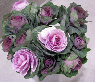 Sunday Flower Delivery on Kale  Cabbage Flowers  At Hanging Basket Florist Rockingham