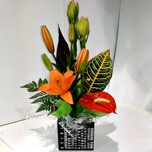 A Box Arrangement of Tropical Flowers being delivered to Kwinana Marketplace