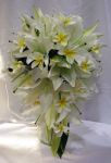 Brides Bouquet of Lillies and Frangipani