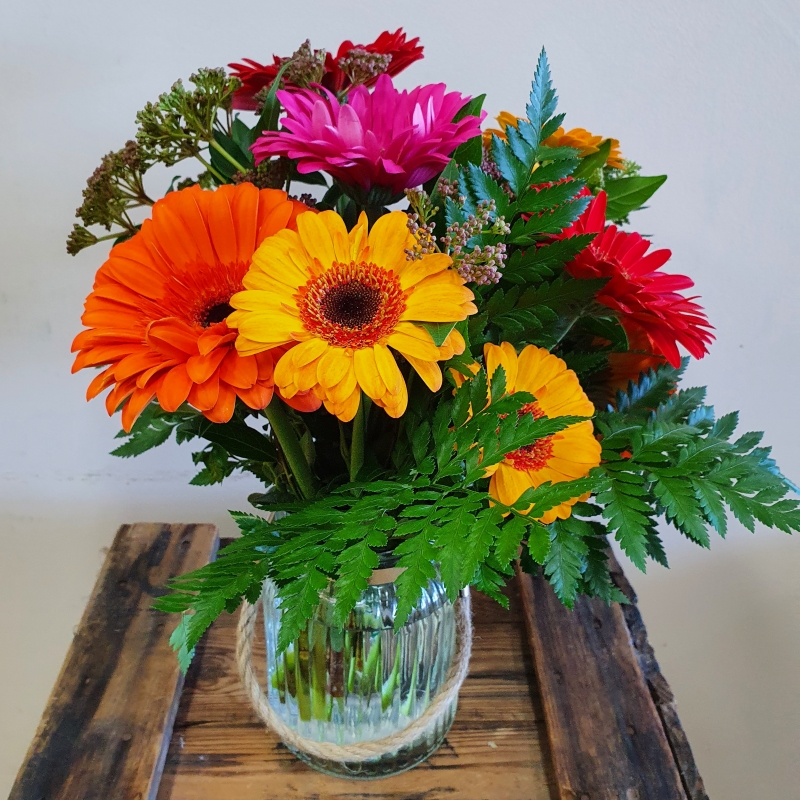 Posy of Gerberas for Delivery in Bertram