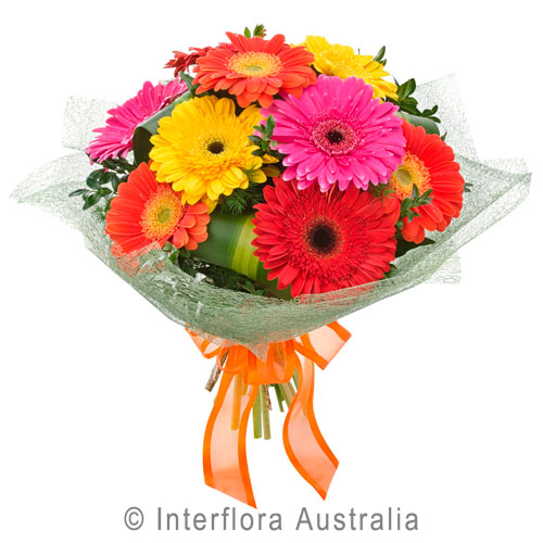 Gerbera Bouquet Hanging Basket Florist Rockingham