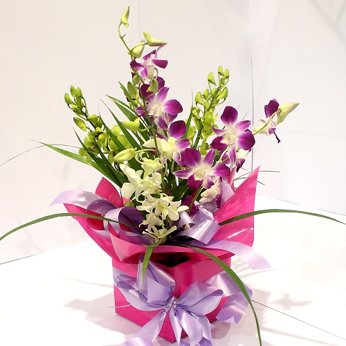 Box Arrangement of Orchids