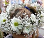 Babies Breath and Daisy Flower Crown