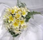 Bridesmaids Posy of Frangipani