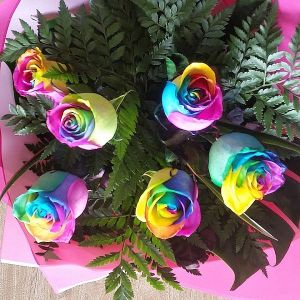 6 Rainbow Roses