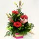 Classic Box - Pink