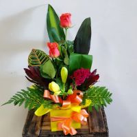 Small Box Arrangement