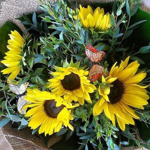 Sunflower Bouquet for delivery in Baldivis
