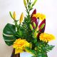 Classic Box - Bright