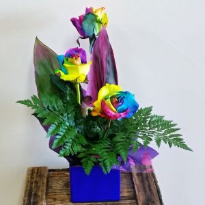 Rainbow Roses on special at Hanging Basket Florist Rockingham