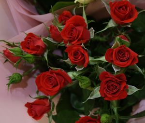 Leave it to us - Roses, Bear & Balloon