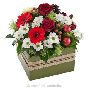 Christmas Splendour