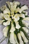 Calla Lily Trailing Style Bouquet