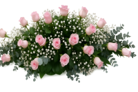 Casket Spray - Roses